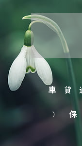 車貸逾期被第三方起訴(車貸逾期擔(dān)保人被起訴)