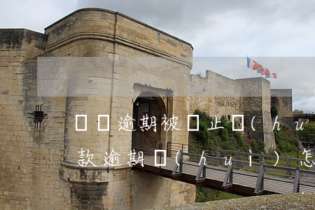 車貸逾期被終止會(huì)怎么樣(車輛貸款逾期會(huì)怎么樣)