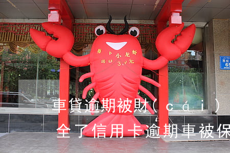 車貸逾期被財(cái)產(chǎn)保全了（信用卡逾期車被保全）