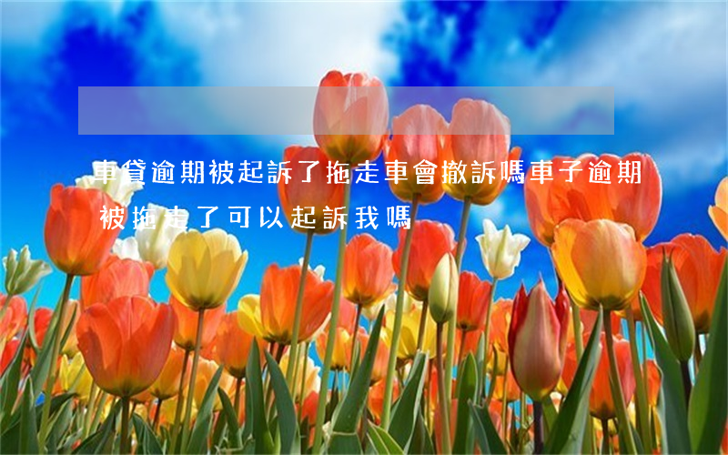 車貸逾期被起訴了拖走車會撤訴嗎(車子逾期被拖走了可以起訴我嗎)