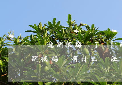 車貸逾期被起訴了會(huì)怎樣（車貸逾期被起訴有什么辦法）