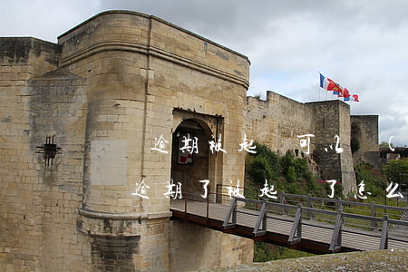 車貸逾期被起訴可以調(diào)解嗎(車貸逾期了被起訴了怎么辦?)