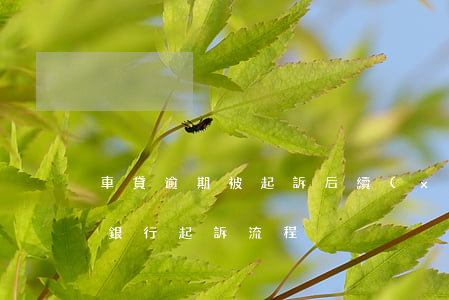 車貸逾期被起訴后續(xù)流程(車貸逾期銀行起訴流程)