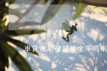 車貸逾期被起訴坐牢嗎車被抵押了