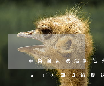 車貸逾期被起訴怎么應(yīng)對(duì)(車貸逾期被起訴屬于什么案件)