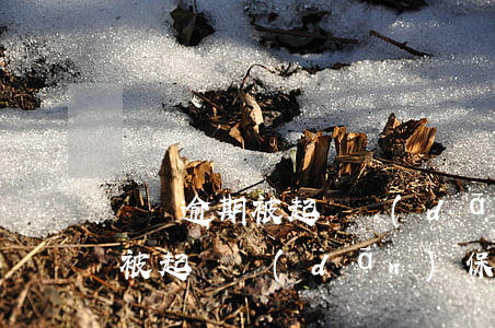 車貸逾期被起訴擔(dān)保人(車貸逾期被起訴擔(dān)保人會(huì)坐牢?)