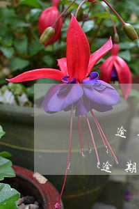 車貸逾期被起訴會(huì)有什么后果(車貸逾期起訴會(huì)怎樣)