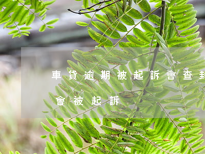 車貸逾期被起訴會查封車輛嗎 車貸逾期會不會被起訴