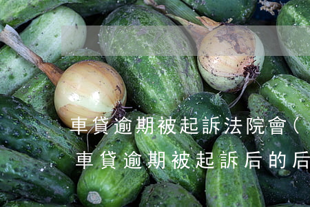車貸逾期被起訴法院會(huì)怎么判決（車貸逾期被起訴后的后果）