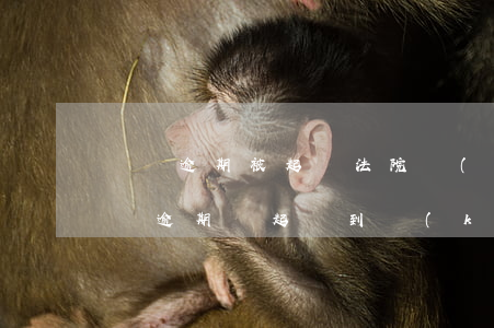 車貸逾期被起訴法院會(huì)怎么審(車貸逾期從起訴到開(kāi)庭要多久)