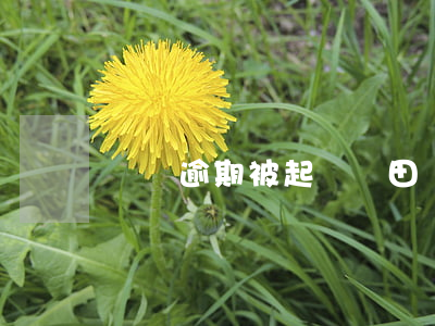 車貸逾期被起訴（豐田車貸逾期被起訴）