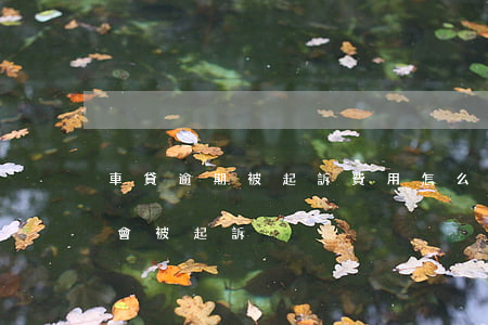 車貸逾期被起訴費用怎么算 車貸逾期多少錢會被起訴
