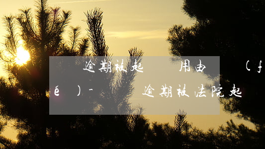 車貸逾期被起訴費用由誰負(fù)責(zé)-車貸逾期被法院起訴費用多少