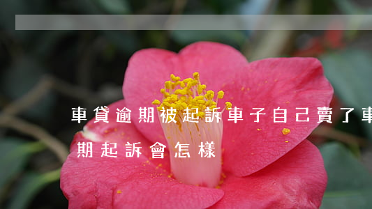 車貸逾期被起訴車子自己賣了(車賣了車貸逾期起訴會怎樣)