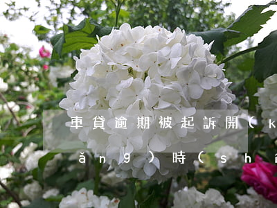 車貸逾期被起訴開(kāi)庭多長(zhǎng)時(shí)間(車貸逾期多久金融公司才起訴)