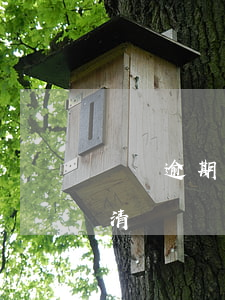 車貸逾期補(bǔ)清后貸款結(jié)清