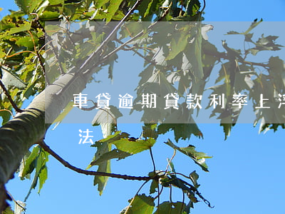 車貸逾期貸款利率上浮(車貸利率超過多少違法)