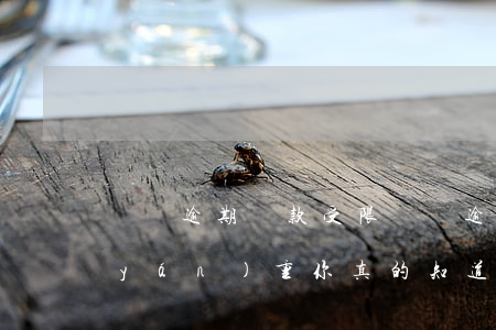 車貸逾期貸款受限(車貸逾期的后果有多嚴(yán)重,你真的知道嗎?)