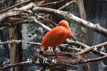 車貸逾期起訴個人還是夫妻（夫妻一方車貸逾期法院起訴）
