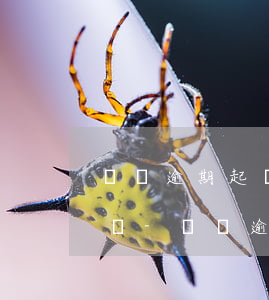 車貸逾期起訴法院還能協(xié)商分期嗎-車貸逾期立案后可以申請(qǐng)分期還款嗎