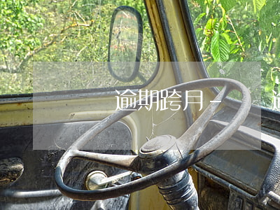 車貸逾期跨月-車貸逾期半月