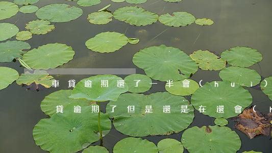 車貸逾期還了一半會(huì)被起訴嗎(車貸逾期了但是還是在還會(huì)不會(huì)被起訴)