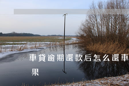 車貸逾期還款后怎么還(車貸款逾期還款的后果)