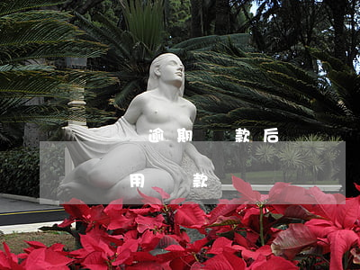 車貸逾期還款后還搶車嗎(車貸逾期車被拖走還用還款嗎)