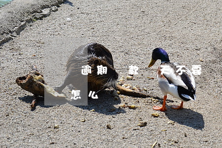車貸逾期還款幾天不要緊(車貸逾期幾天還款會怎么樣)