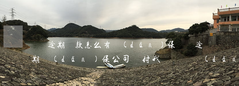 車貸逾期還款怎么有擔(dān)保(車貸逾期擔(dān)保公司墊付,我沒錢給擔(dān)保公司)