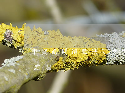 車貸逾期還款法院文件(車款逾期法院會怎么處理)