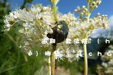 車貸逾期還款法院會(huì)凍結(jié)哪些資產(chǎn)(車貸逾期會(huì)凍結(jié)銀行給你解嗎)