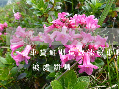 車貸逾期還款能檢車嗎(車輛逾期了檢車時會被處罰嗎)