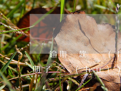 車貸逾期還款還會(huì)拖車嗎(車貸逾期了車會(huì)被拖走嗎)
