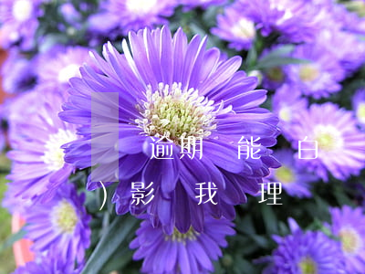 車貸逾期還能開白條嗎(金條逾期會(huì)影響我辦理車貸嗎)
