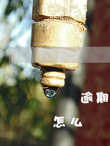 車貸逾期銀行起訴怎么辦(車貸逾期銀行起訴怎么辦)
