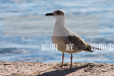 車貸逾期開庭（車貸逾期金融公司起訴法院）