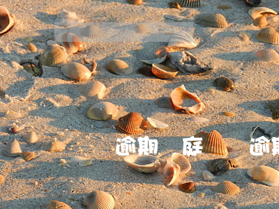 車貸逾期開庭(車貸逾期開庭可以不去嗎)