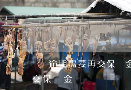 車貸逾期需要再交保證金嗎(車貸逾期需要再交保證金嗎)