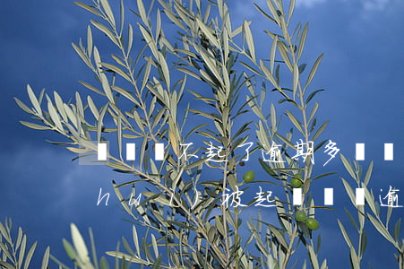 車貸還不起了,逾期多長時(shí)間會(huì)被起訴（車貸逾期部分還了還會(huì)起訴嗎）