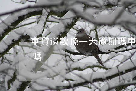 車貸還款晚一天逾期嗎(車貸還款晚一天逾期嗎)