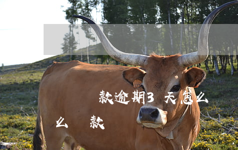 車貸還款逾期3天怎么辦(車貸逾期3天后怎么還款)