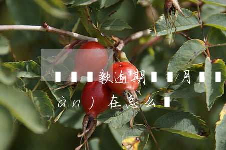 車貸還款逾期兩個月(車貸逾期2年現(xiàn)在怎么辦)