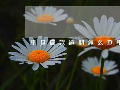 車貸還款逾期怎么查(車貸還款逾期怎么查)