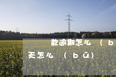 車貸還款逾期怎么補(bǔ)上(車貸逾期一天怎么補(bǔ)繳)