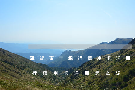 車貸電子銀行信用卡逾期怎么還(車貸電子銀行信用卡逾期怎么還)