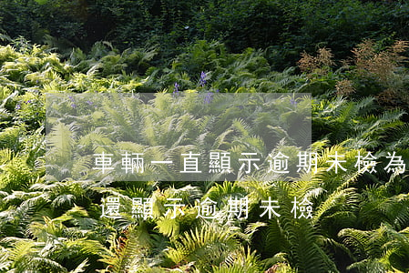車輛一直顯示逾期未檢 為什么車輛年檢過了還顯示逾期未檢