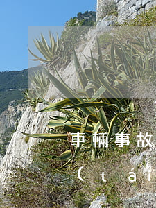 車輛事故第三方檢測多少錢(第三方檢測一臺(tái)車多少錢)