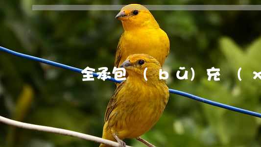 車輛全承包補(bǔ)充協(xié)議