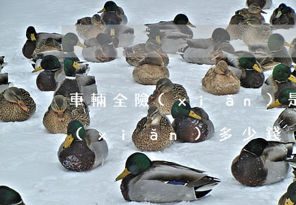 車輛全險(xiǎn)是多少錢(車輛全保險(xiǎn)多少錢)